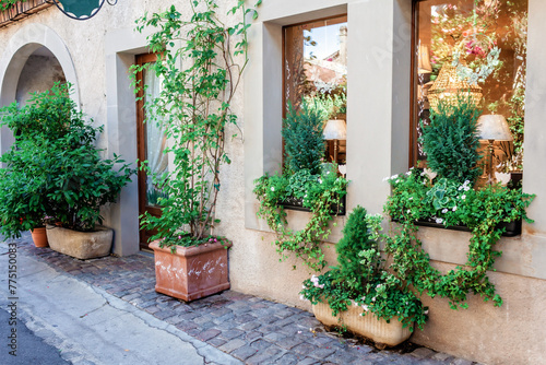 Yvoire streets bloom with life as green plants and flowers embellish the historical homes, adding charm to the medieval architecture.