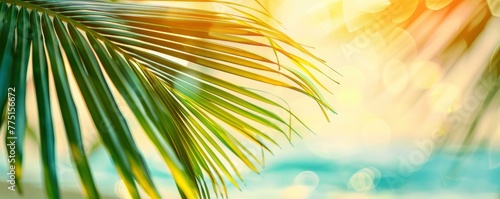 Beautifully blurred green palm leaf on a tropical beach with an abstract background of sun light waves.