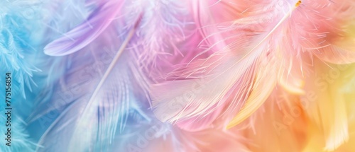 Colorful pastel background with soft feathers in gentle colors, dreamy and ethereal, blurred background for copy space. Abstract nature concept.