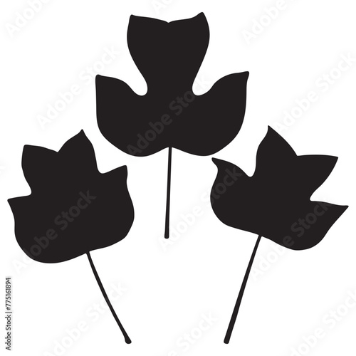Tulip Poplar or Liriodendron Tulipifera Leaf Silhouettes