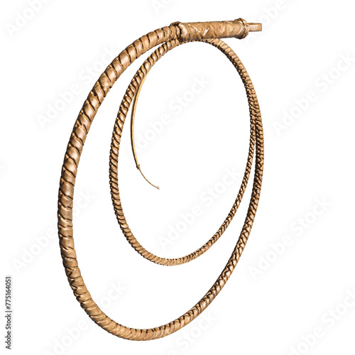 3d rendered whip isolated on transparent background