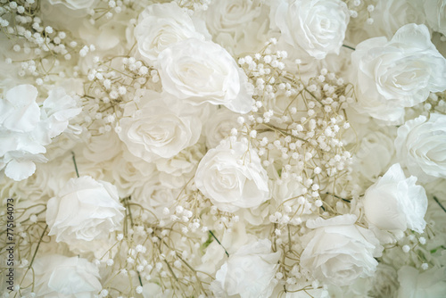 White Roses 1