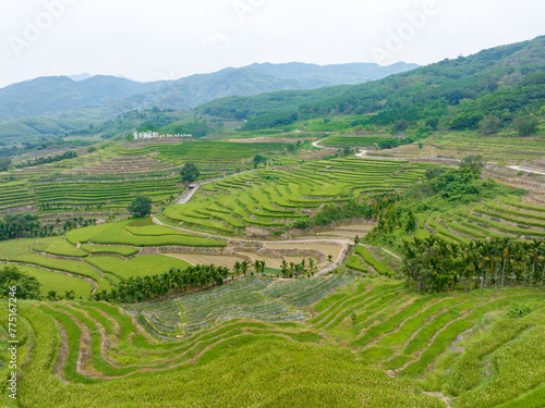 Beautiful scenery of Yahu Rice Terraces in Wuzhishan, Hainan, China © hu
