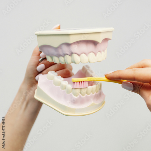 Female hands demonstrating tooth brushing on a dental model against a light-colored background. The toothbrush is yellow with pink bristles
