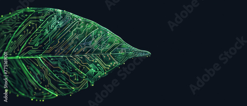 The detailed green circuitry pattern over the shape of a leaf showcases technology in nature