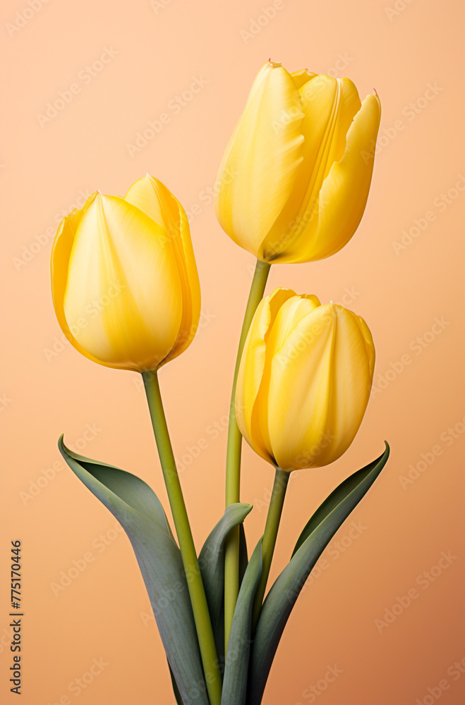 three yellow tulips on a yellow surface, in the style of bold color palate сreated with Generative Ai three yellow tulips on a yellow surface, in the style of bold color palate сreated with Generative Ai