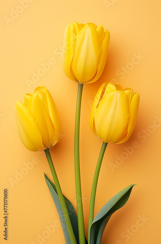 three yellow tulips on a yellow surface  in the style of bold color palate   reated with Generative Ai