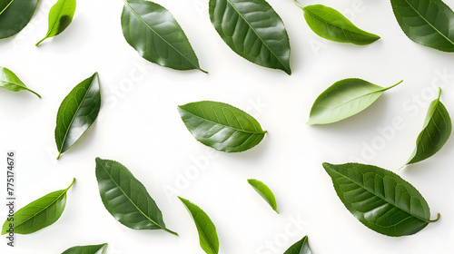 Fresh Green Tea Leaves Scattered on a White Surface