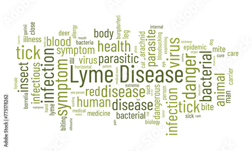 Lyme Disease word cloud template. Health and Medical awareness concept vector background.