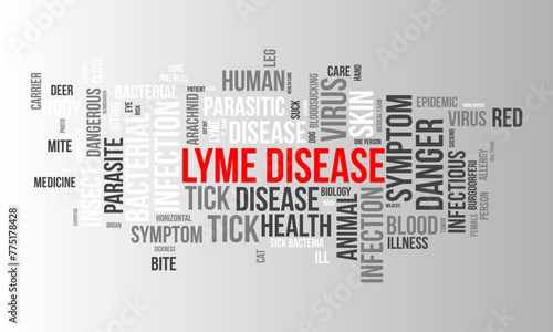 Lyme Disease word cloud template. Health and Medical awareness concept vector background.