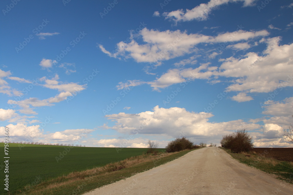 Fototapeta premium A dirt road with grass and trees on either side of it