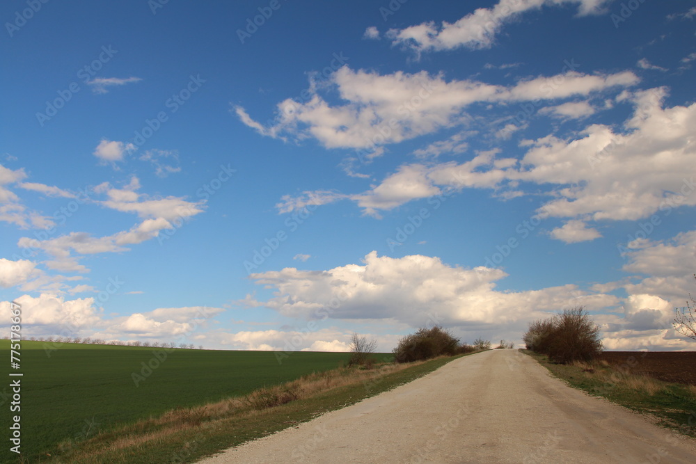 A dirt road with grass and trees on either side of it