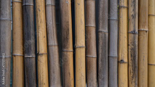 Bamboo tubes fence texture background banner pattern wall  wooden wood structure