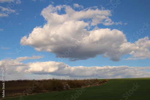 A large cloud over a green field