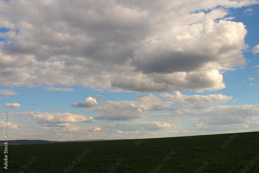 A field with clouds
