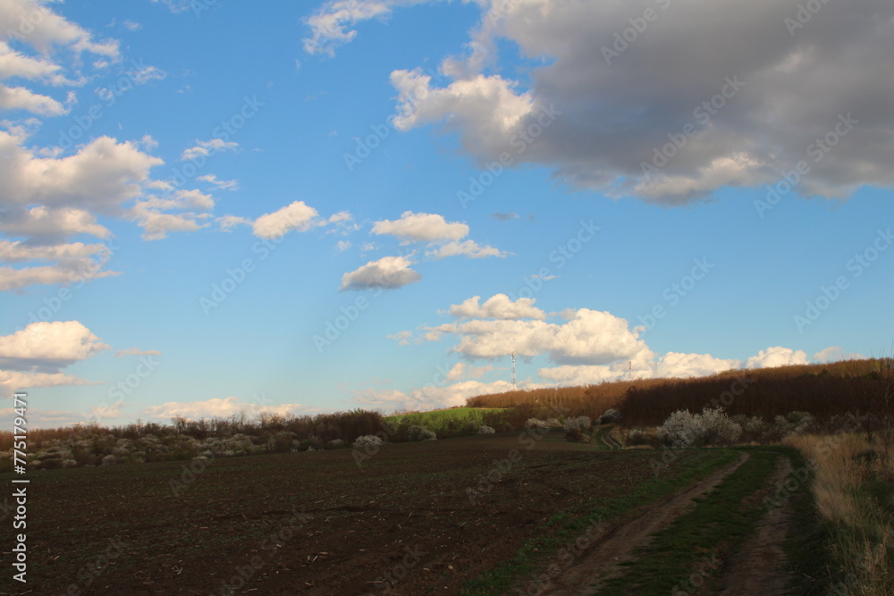 A dirt road with a field and blue sky with clouds