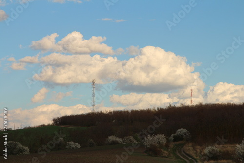 A landscape with trees and a tower