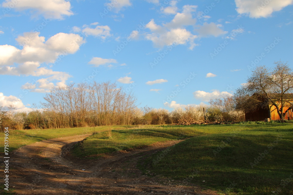 A golf course with trees and blue sky A golf course with trees and blue sky