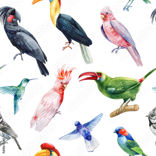 Tropical bird pattern. Seamless background colorful pattern. Watercolor birds parrot, hummingbirds, toucan, wallpaper