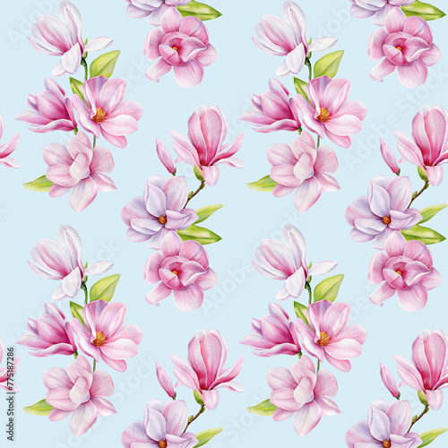 Spring magnolia blooming flowers. Seamless pattern pink petals  blossom  branches. Design spring floral background
