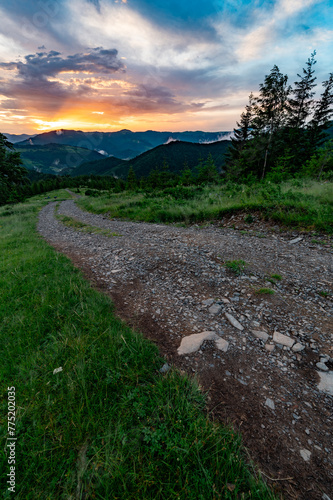 Magical dawn in the Carpathians, a road for tourists in the foreground.
