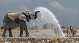 An elephant spraying water on zebras at the watering hole in Etosha National Park
