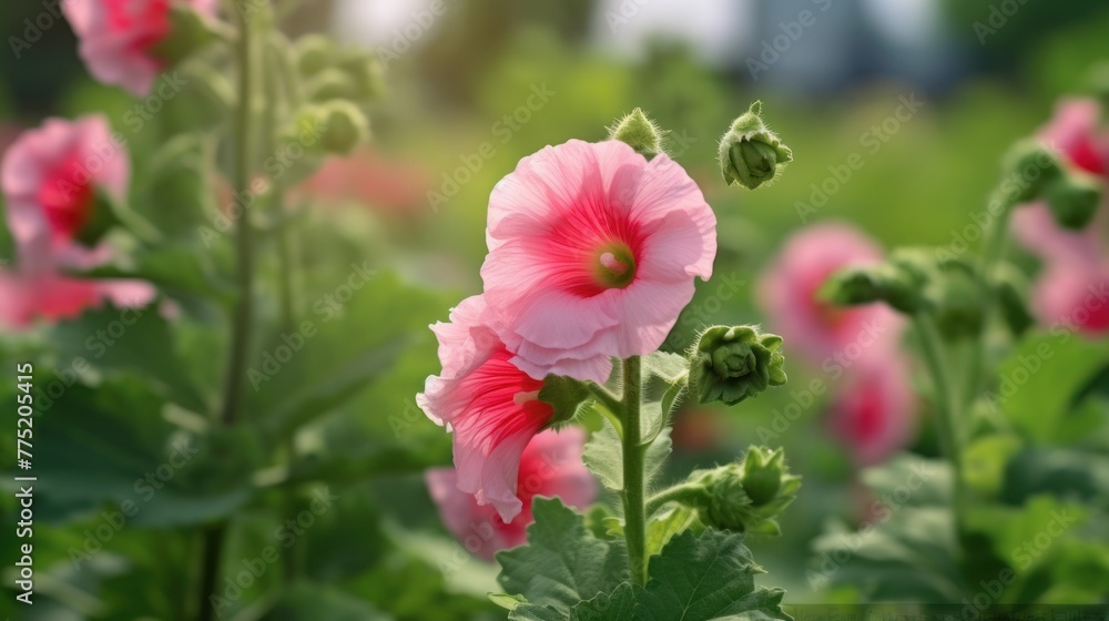 Pink hollyhock flower with green garden background AI generated