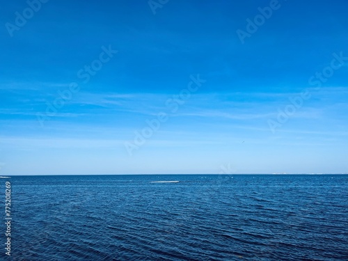 Blue sea horizon, blue seascape, natural blue sea background © Oksana