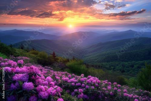 Sun Setting Over Mountains and Flowers