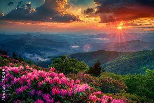 Stunning Sunset Over Mountains With Pink Flowers