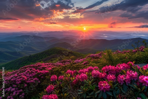 The Sun Setting Over Mountains and Flowers