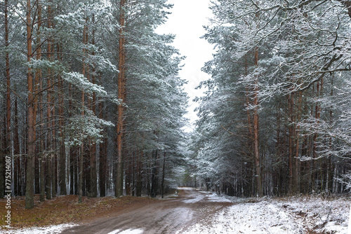 Deserted icy road through a snowy forest on a winter day.
