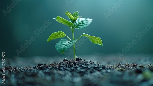 Plants that can talk, telling stories about their growth, solid color background, 4k, ultra hd