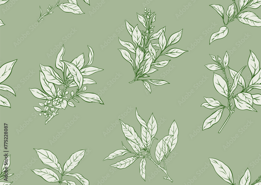 Branch with leaves of green tea. Seamless pattern, background. Vector illustration. In botanical style Branch with leaves of green tea. Seamless pattern, background. Vector illustration. In botanical style