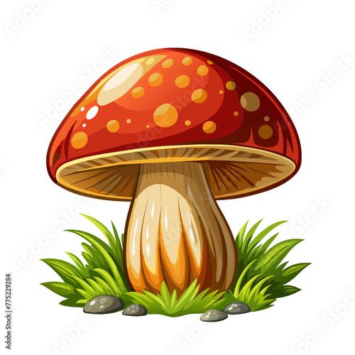 mushroom art drawn for decor on white background
