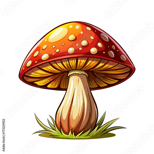 mushroom art drawn for decor on white background