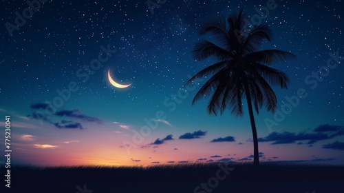 Tropical night with crescent moon and stars