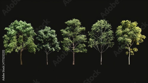 Tree set collection  isolated on black backgound Generative AI