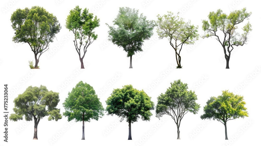 Obraz premium Tree set collection, isolated on white backgound Generative AI