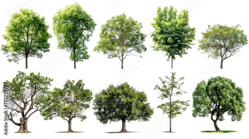 Tree set collection, isolated on white backgound Generative AI