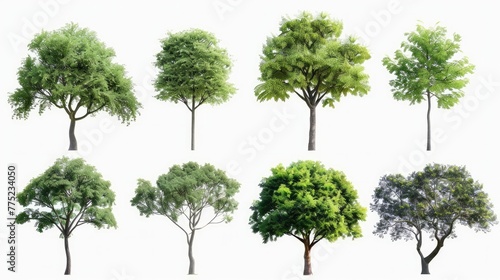 Tree set collection  isolated on white backgound Generative AI