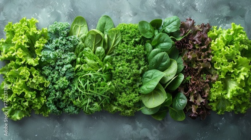 A virtual illustration of a picture frame composed of various leafy salads - arugula, spinach, and kale - displayed against a pure white canvas, emphasizing the shades of green in a simple