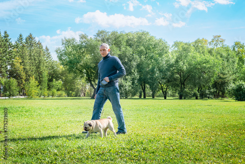 An adult man walks in the park with his pug dog on a sunny summer day, a selective focus