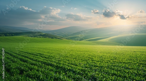 Green Field With Mountains in Background