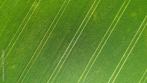 Green farmland from a bird's eye view in sunny rays and windy weather photo