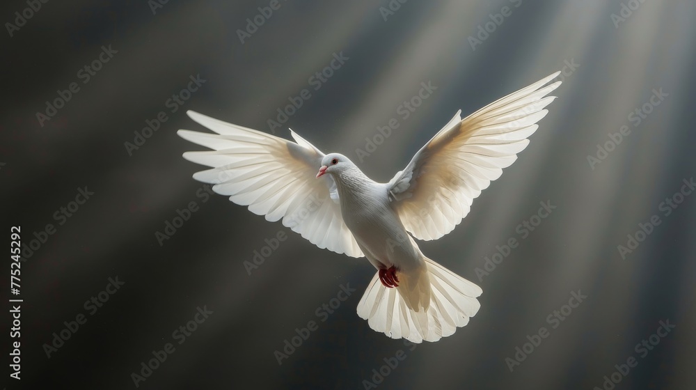 Obraz premium White Bird Flying Over Rusted Surface