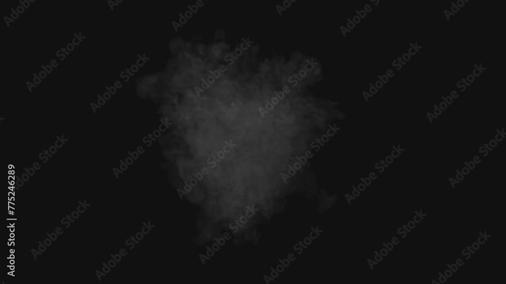 Front View of Isolated Puffing Billowing Smoke Cloud with Alpha Channel Front View of Isolated Puffing Billowing Smoke Cloud with Alpha Channel