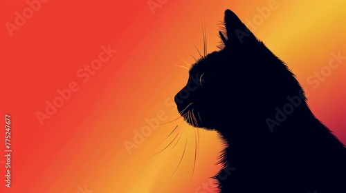 Silhouette of a cat against a colorful backdrop
