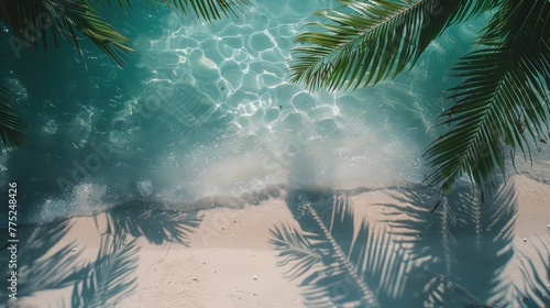 Palm Tree Shadow on Sandy Beach