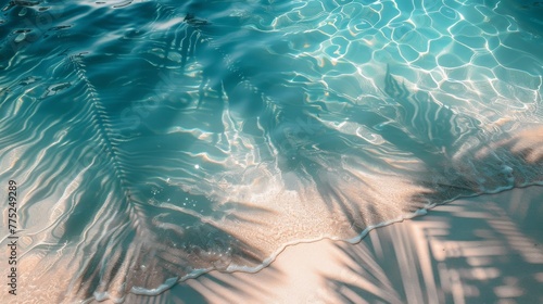 Palm Tree Shadow on Water